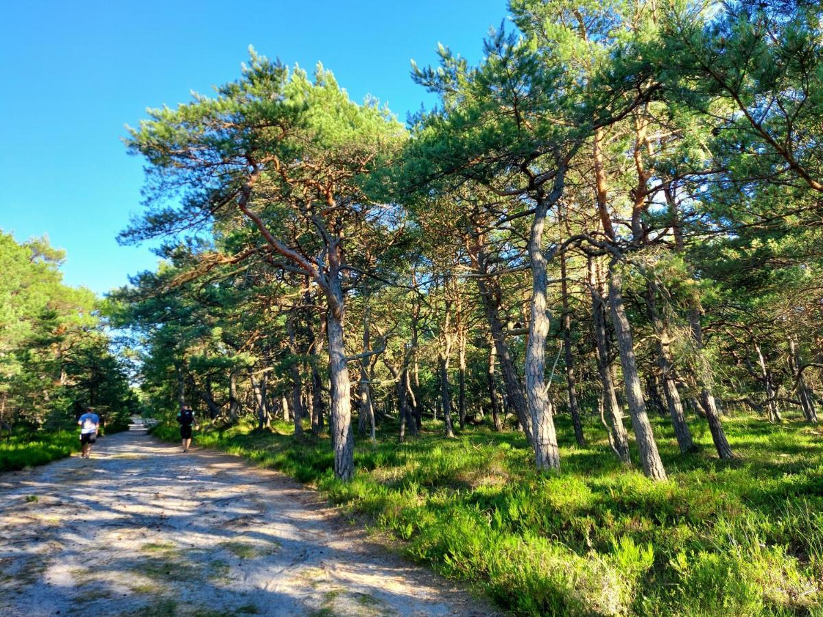 Vila Greyowka Dom Kryty Strzecha W Gardna Park Czysta Exteriér fotografie
